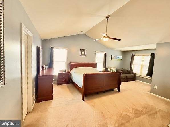 7507 Katie Drive photo 24