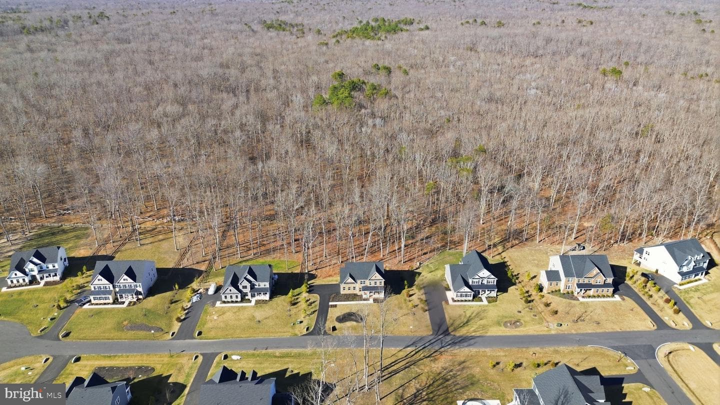 10909 Canterbury Court photo 42