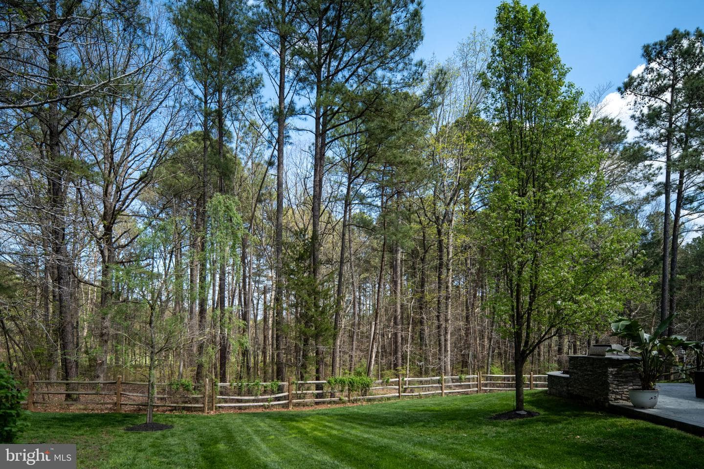 11613 Pine Hollow Lane photo 101
