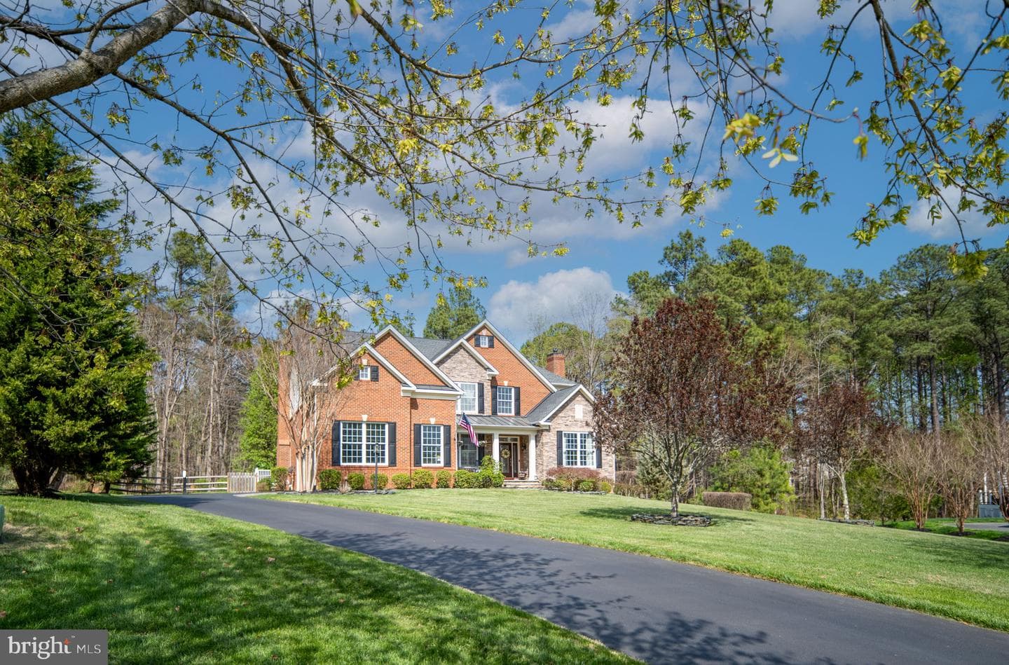 11613 Pine Hollow Lane photo 13