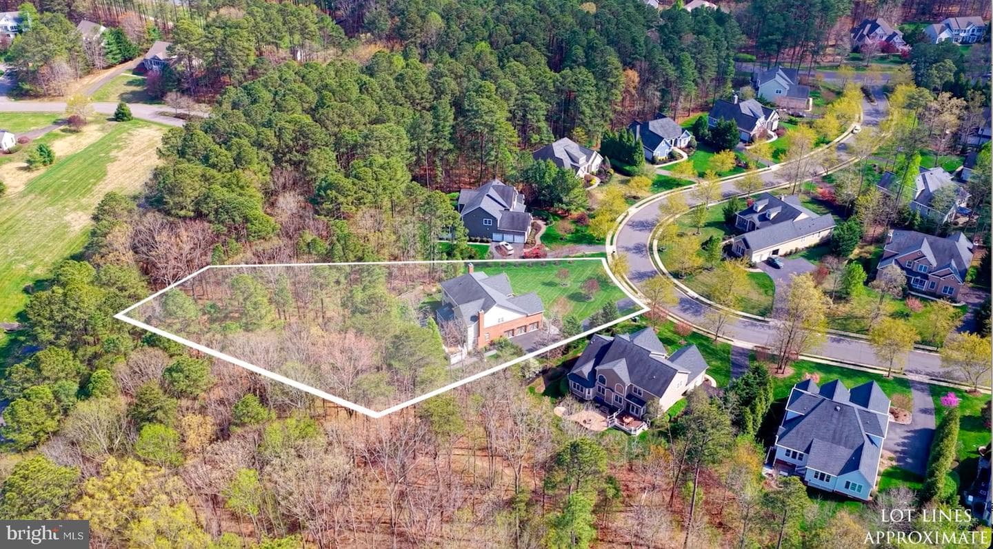 11613 Pine Hollow Lane photo 4