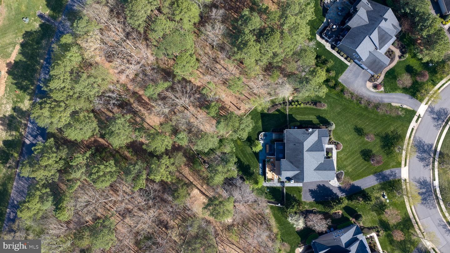 11613 Pine Hollow Lane photo 9