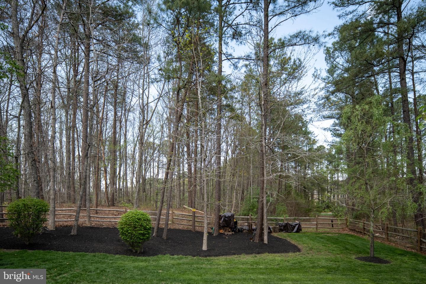 11613 Pine Hollow Lane photo 93