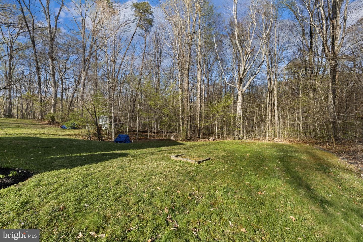 9401 Mill Pond Road photo 32