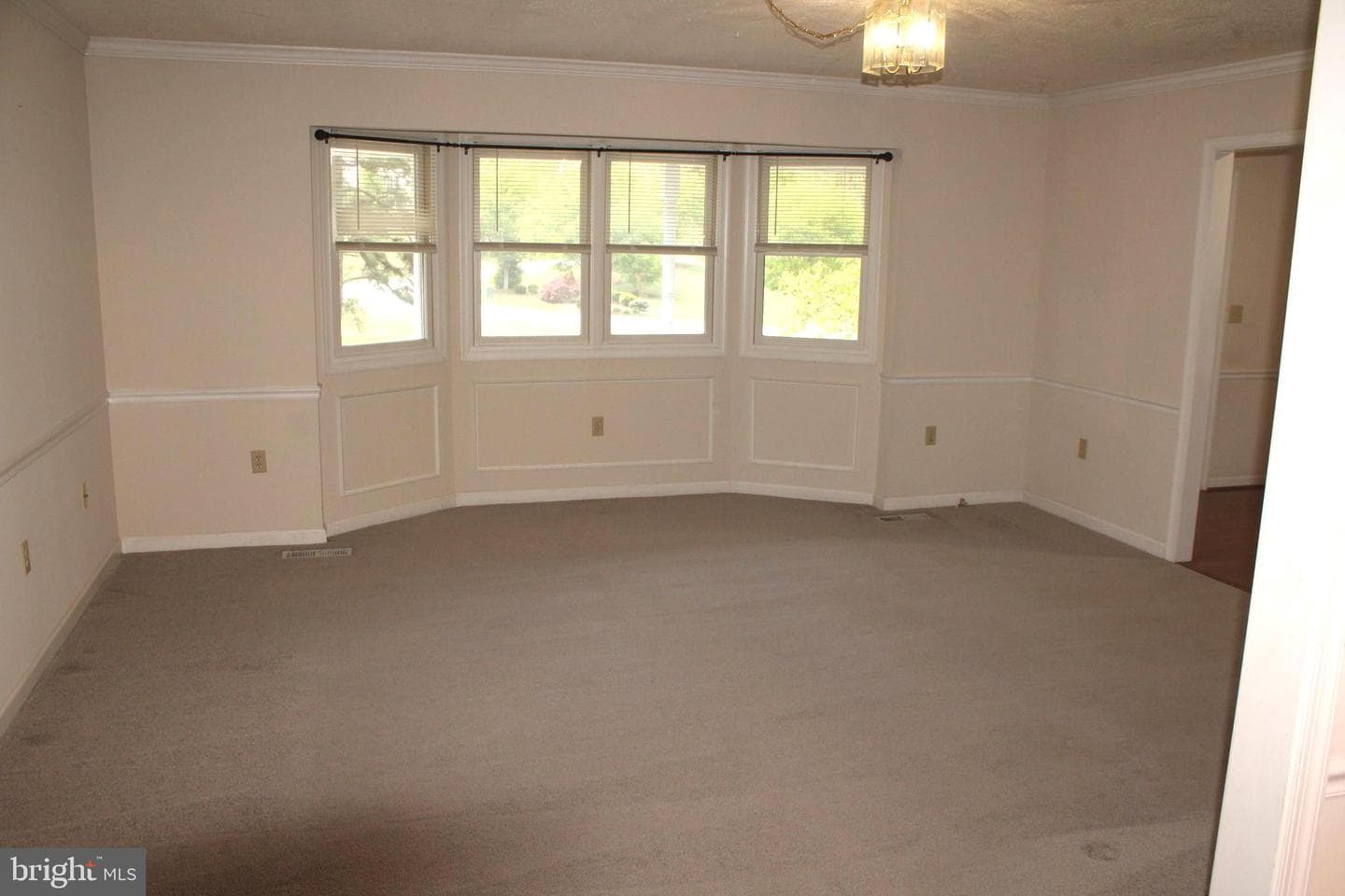 11301 Piney Forest Dr photo 49