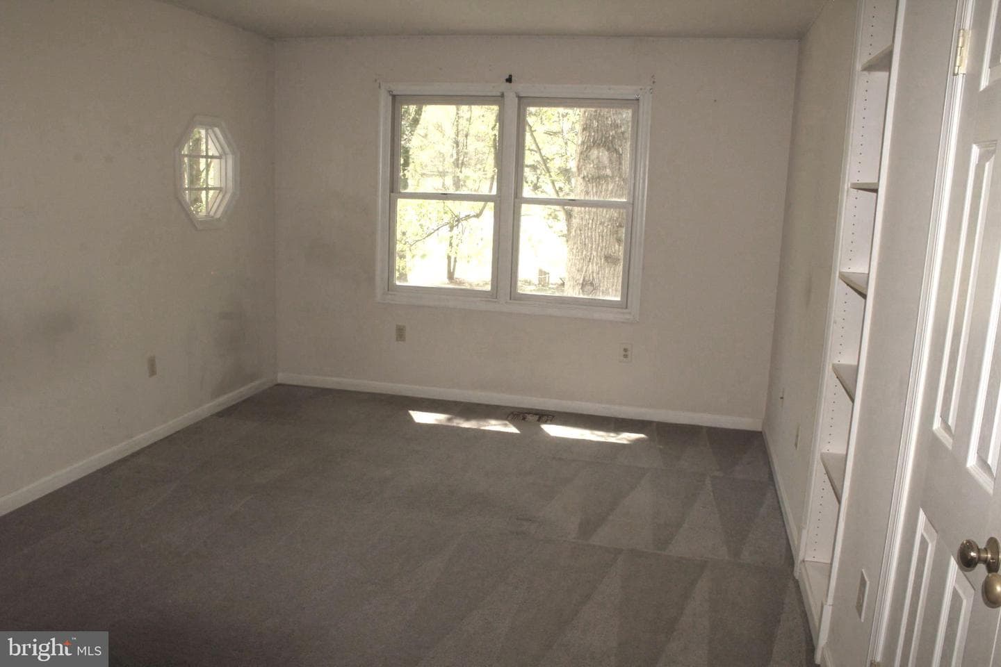 11301 Piney Forest Dr photo 70