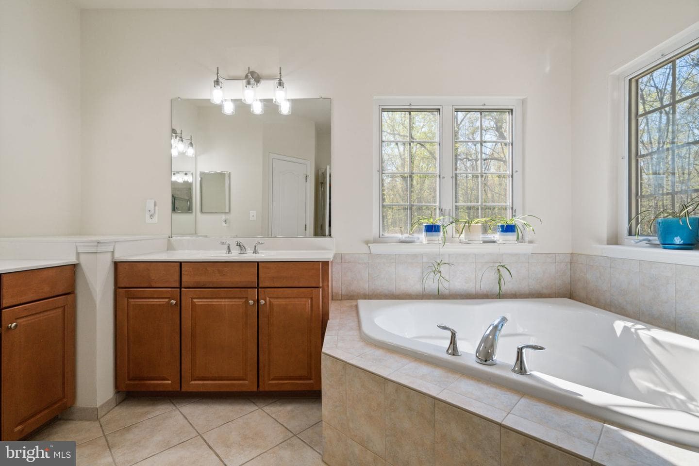 9611 Whitehall Boulevard photo 33