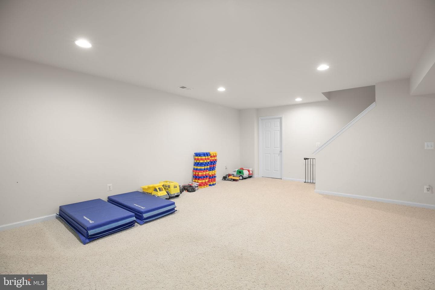 10108 Willow Ridge Lane photo 58