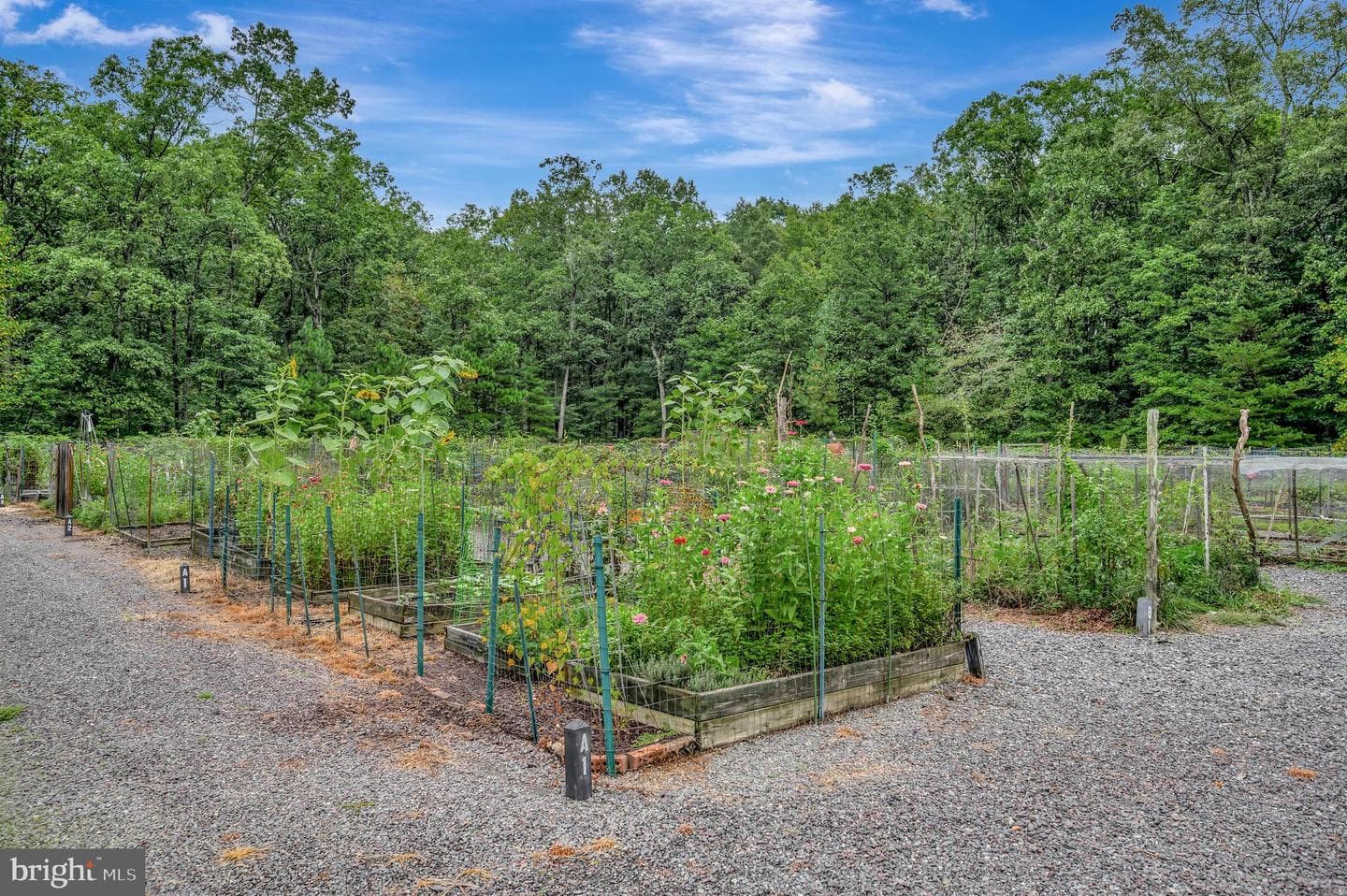 12001 Honor Bridge Farm Drive photo 106