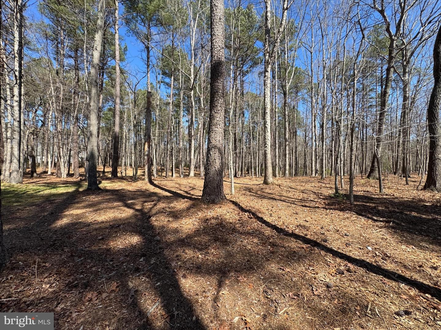 12001 Honor Bridge Farm Drive photo 11