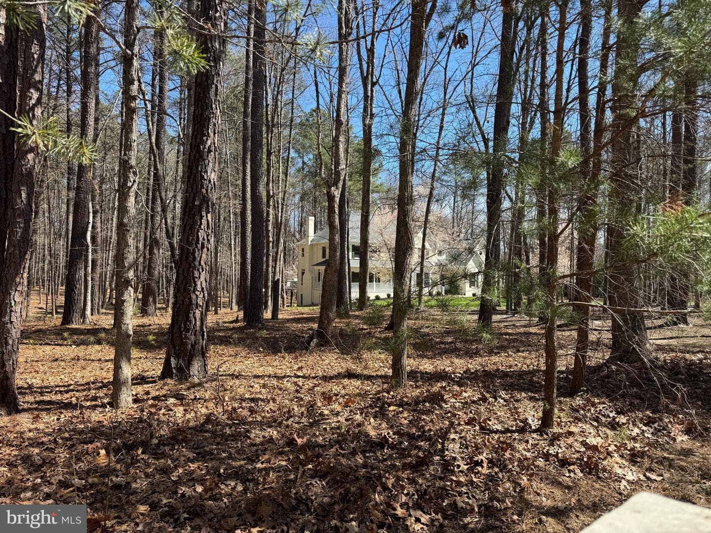 12001 Honor Bridge Farm Drive photo 13