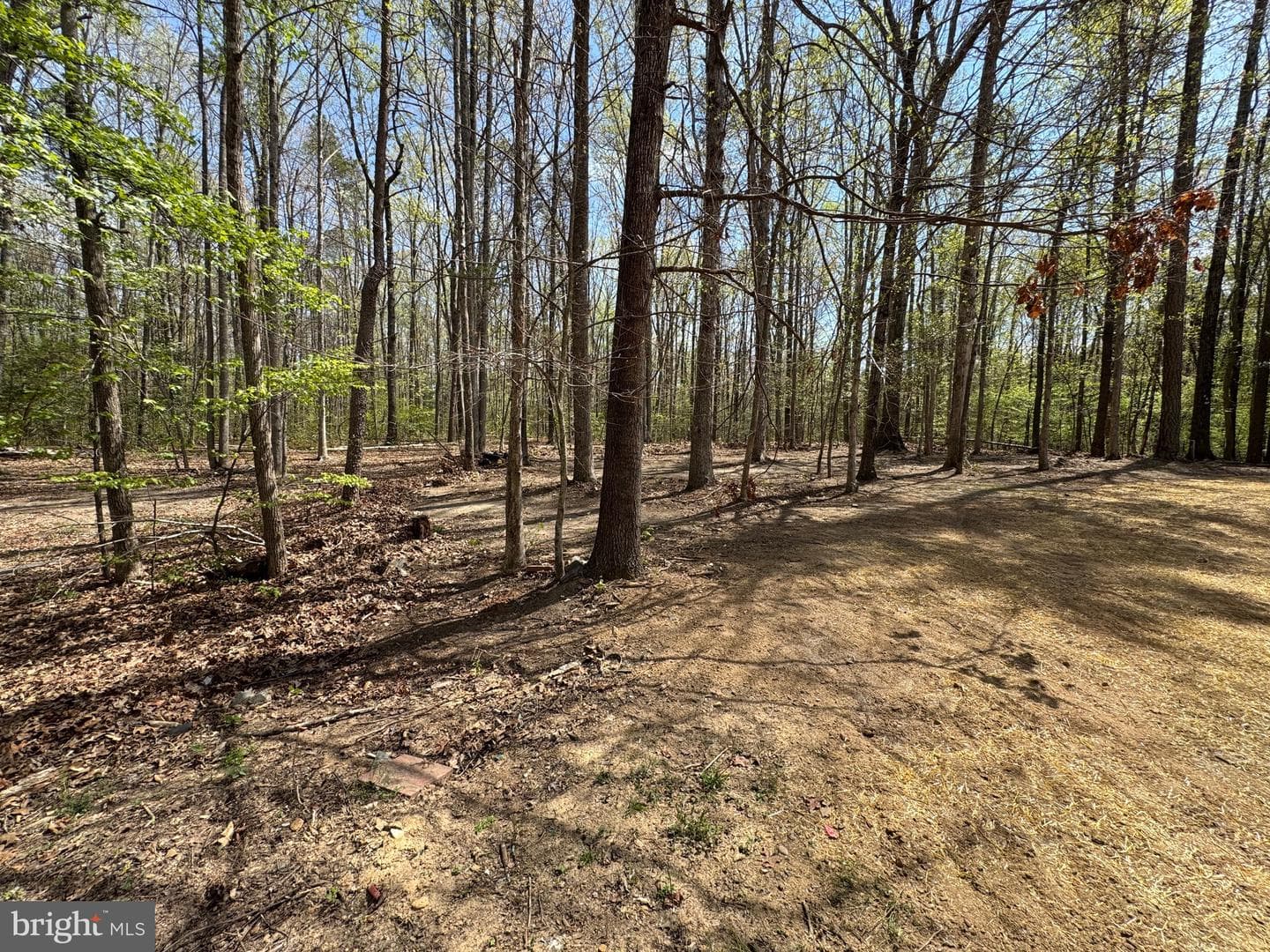 5003 Holly Drive photo 33
