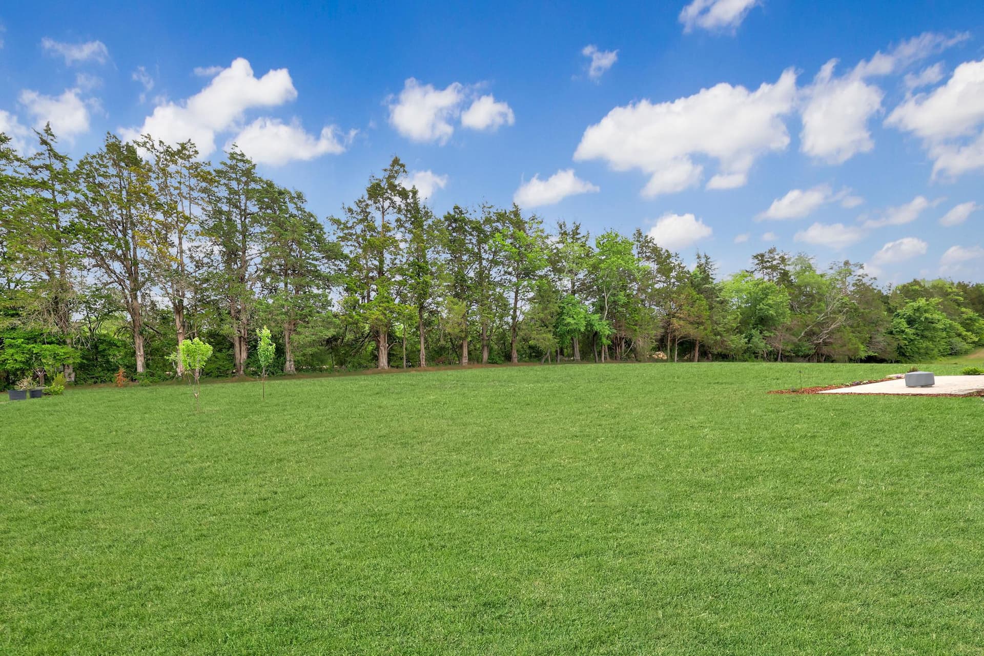 11003 S Abbie Moore Court photo 53
