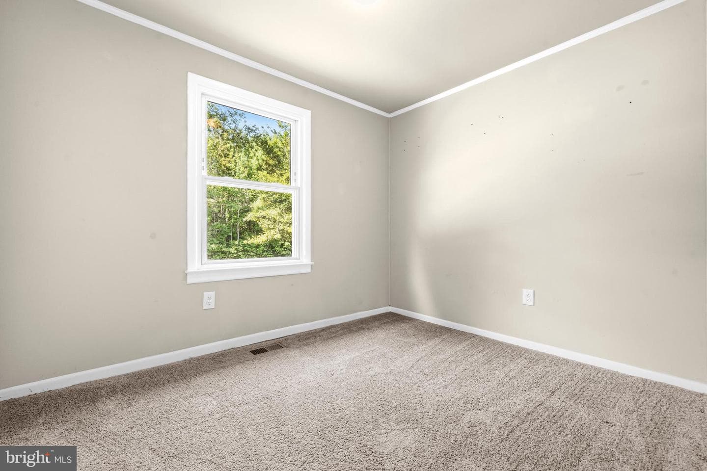 8425 Pamunkey Road photo 17