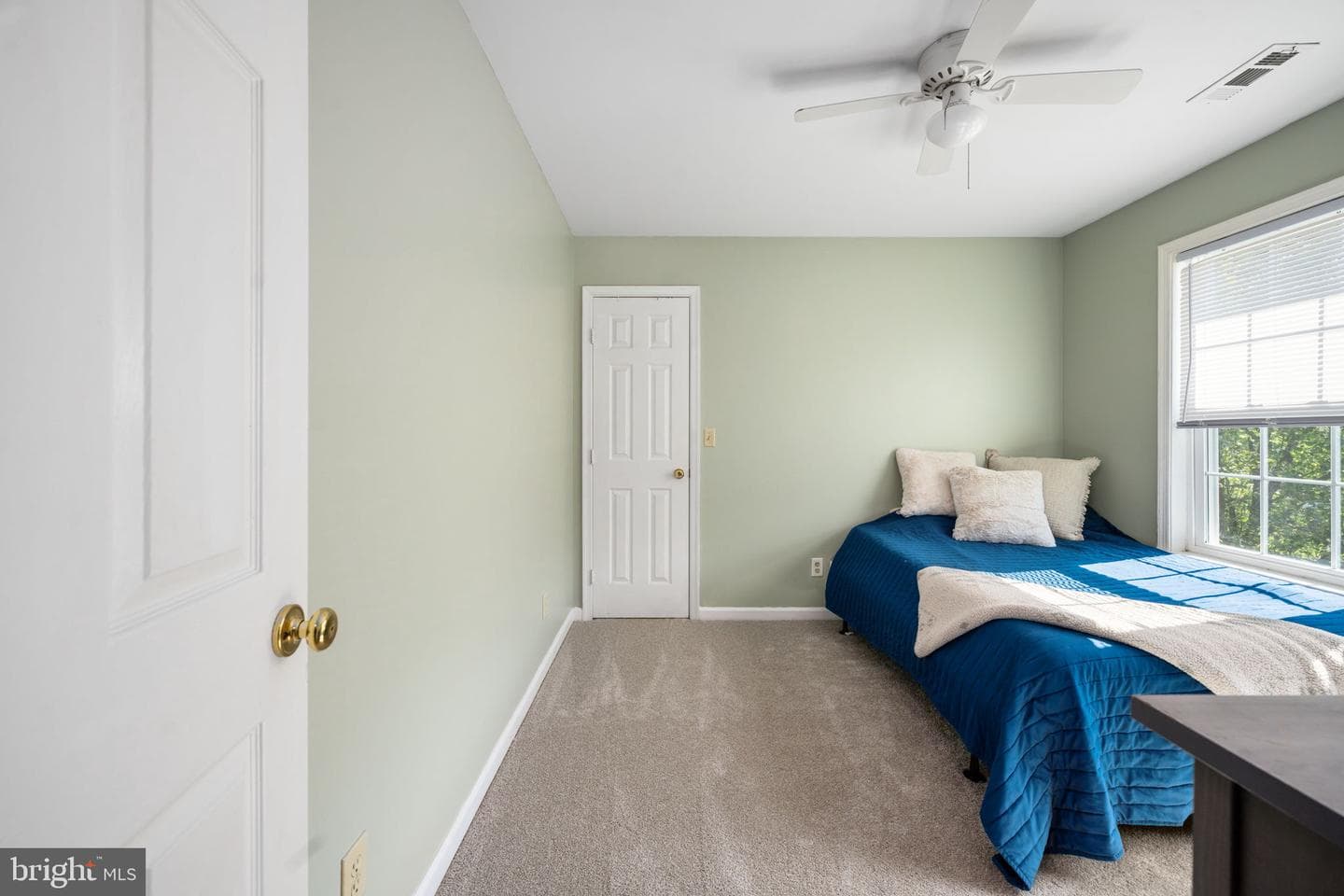 10127 New Scotland Drive photo 35