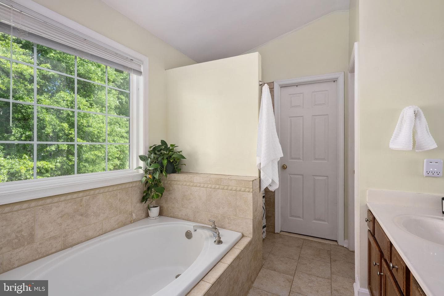 10127 New Scotland Drive photo 45