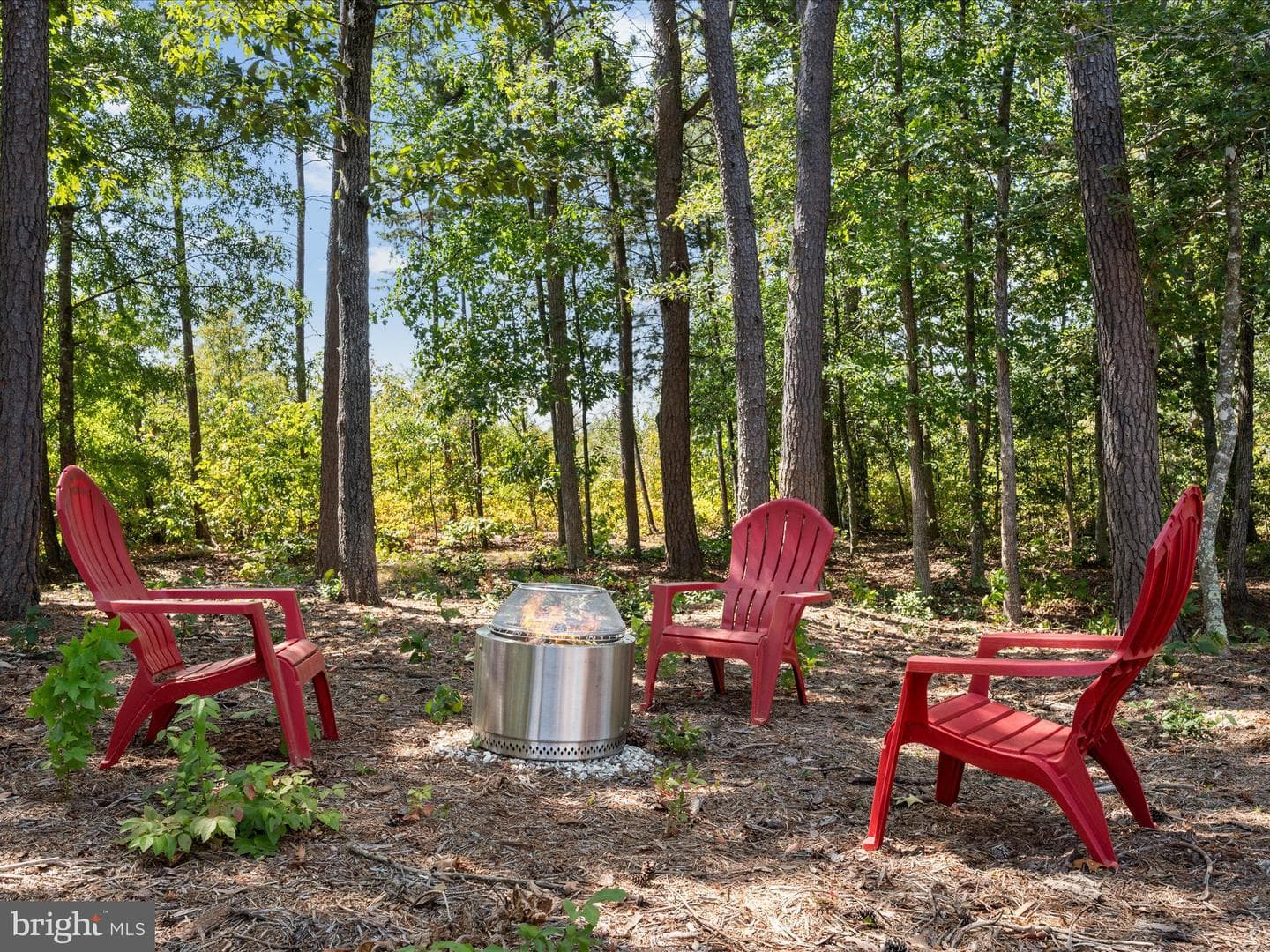 11710 Southview Court photo 62
