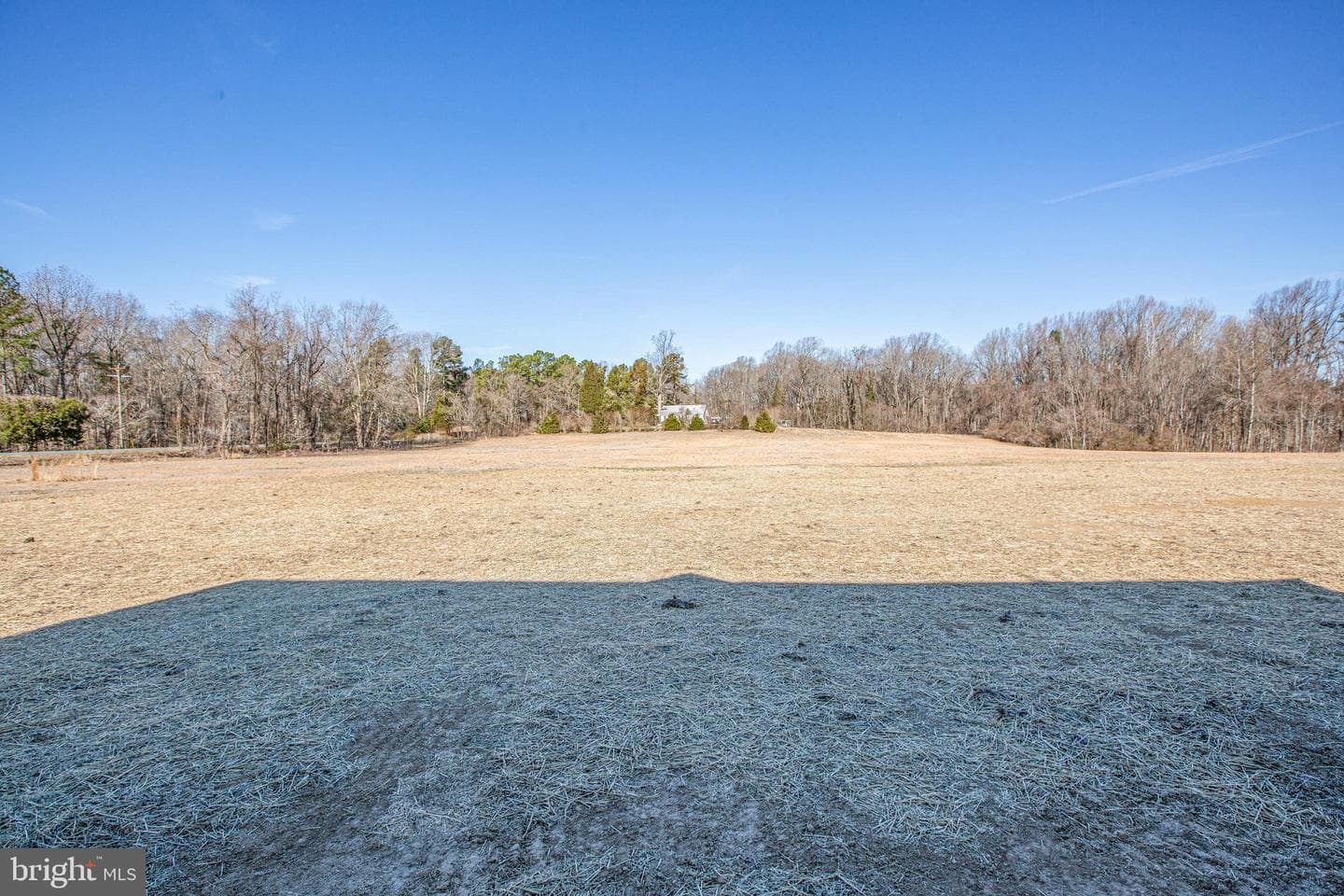 12423 Josephine Lane photo 40