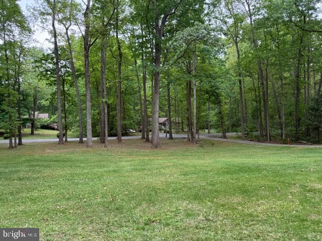 7 Berkshire Lane photo 11