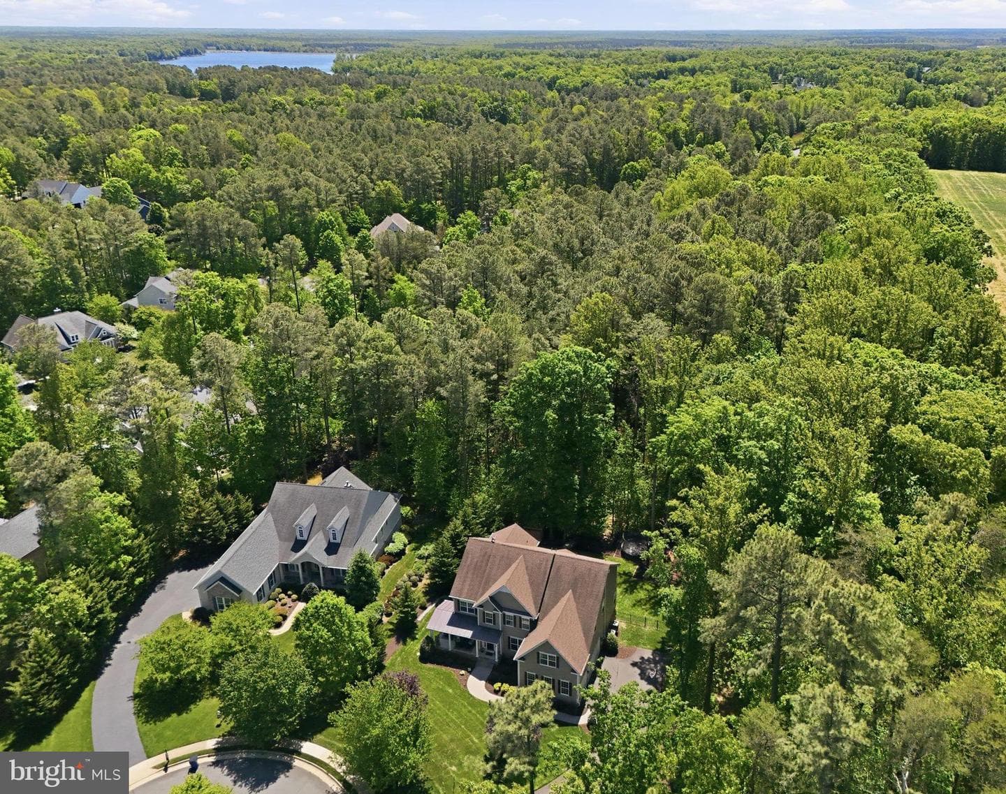 11622 Pine Hollow Lane photo 56