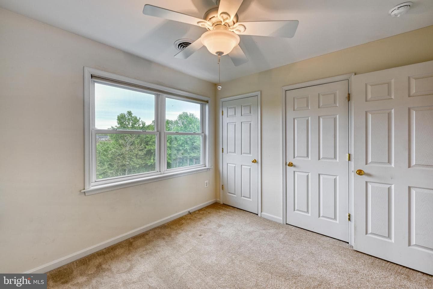 5815 Springfield Farm Lane photo 47