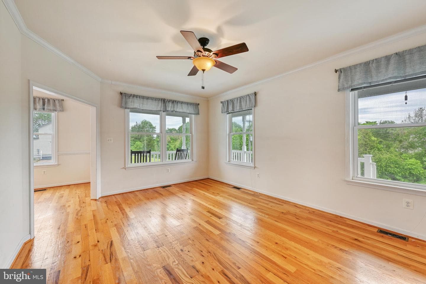 5815 Springfield Farm Lane photo 8