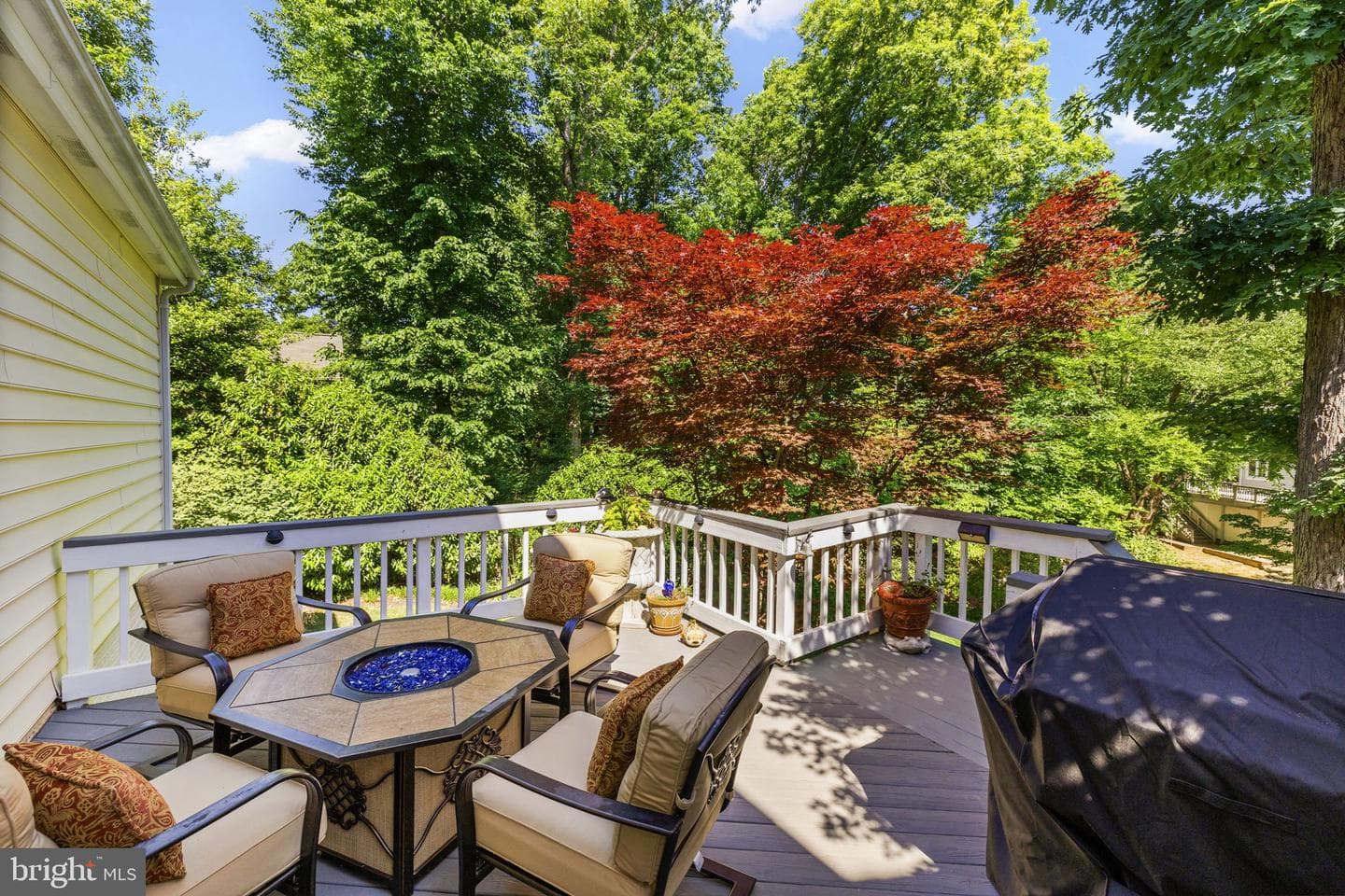 10610 Edinburgh Drive photo 52