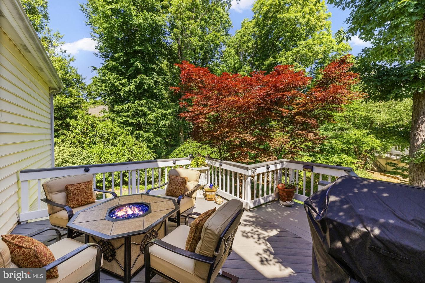 10610 Edinburgh Drive photo 53