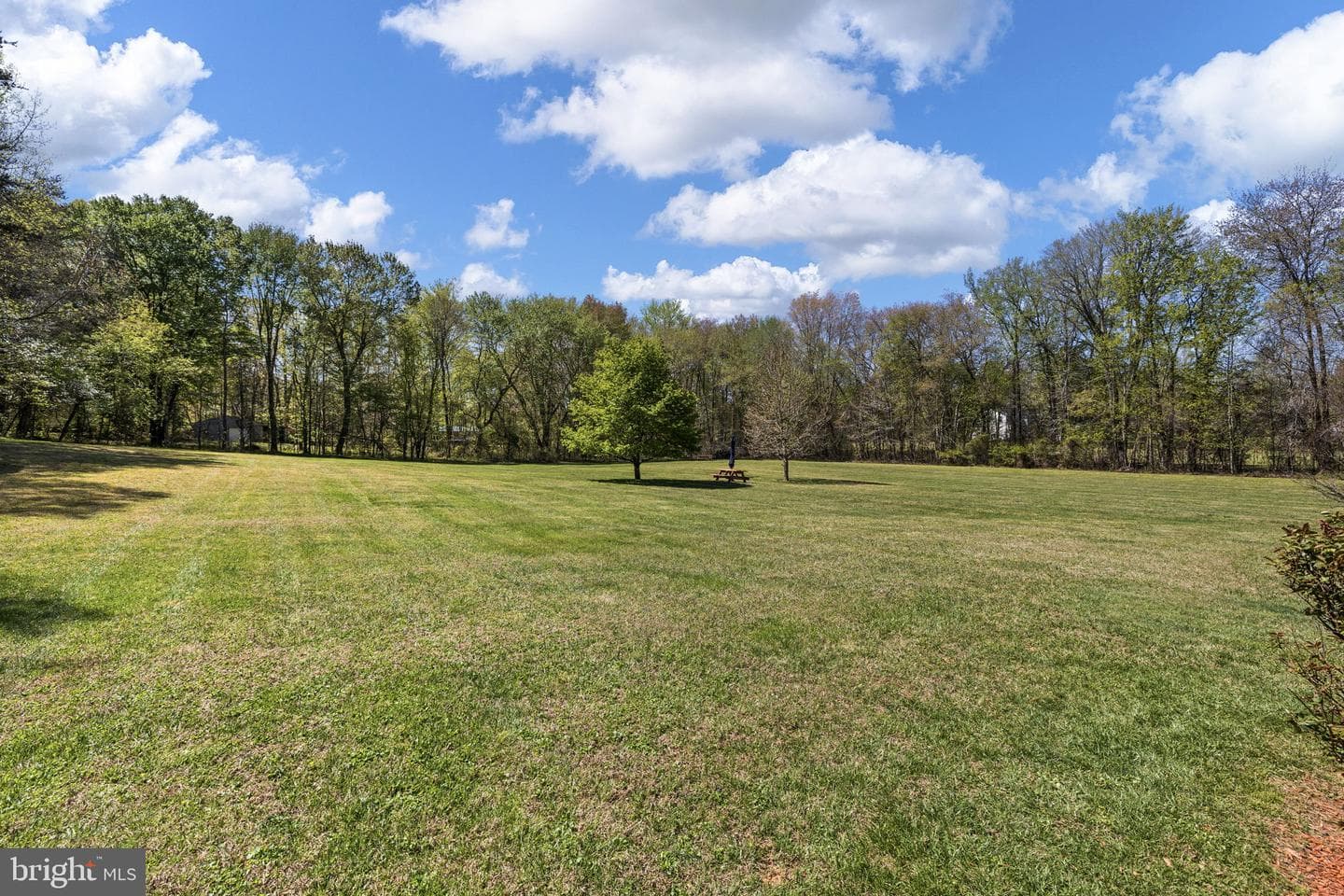 9318 Robert E Lee Drive photo 47