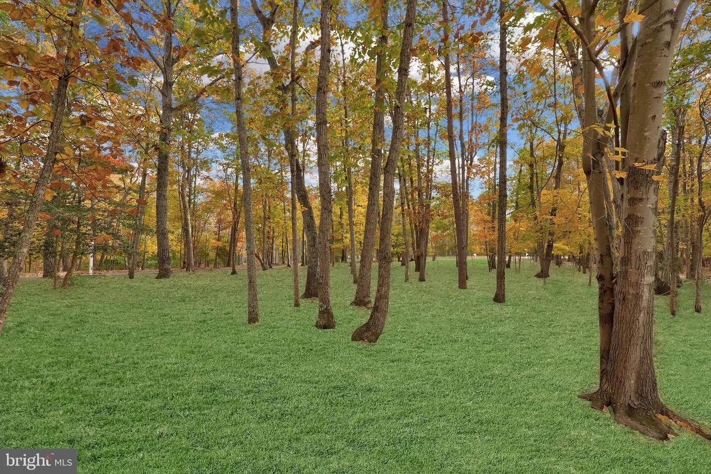 13612 Perimeter Drive photo 56