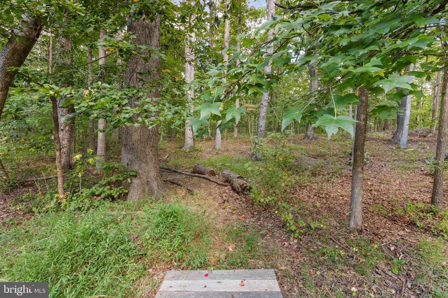 11913 Old Hickory Court photo 55