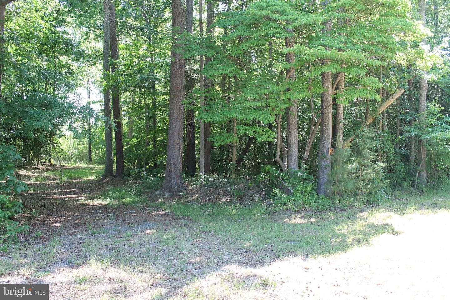 6019 And 6031 Hickory Ridge Rd photo 26