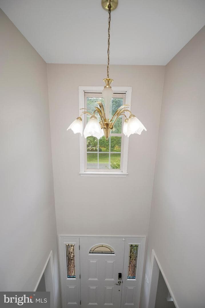 9804 Elm Street photo 65