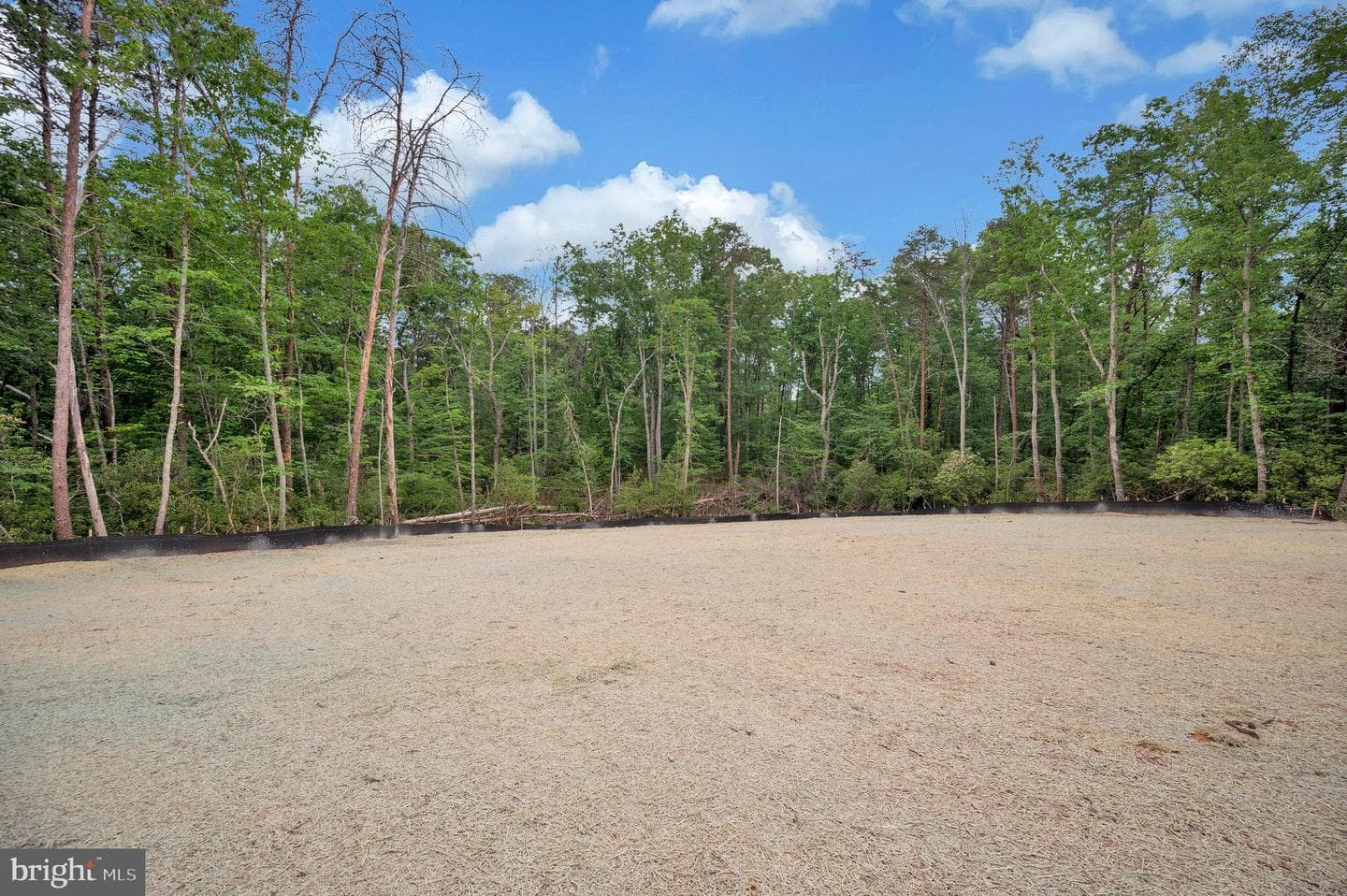 10625 Plank Road photo 7