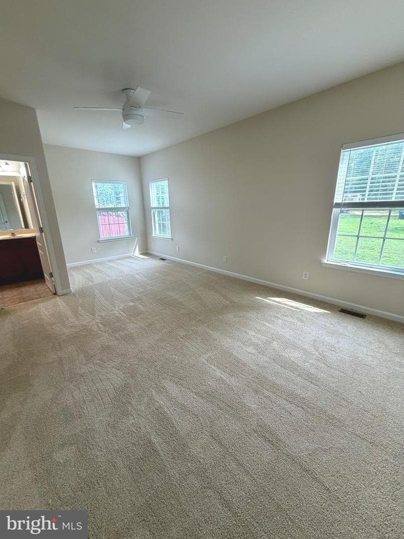 10509 Woodland Drive photo 20