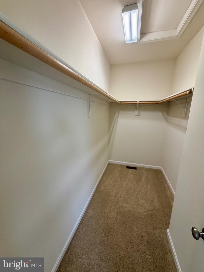 10509 Woodland Drive photo 22