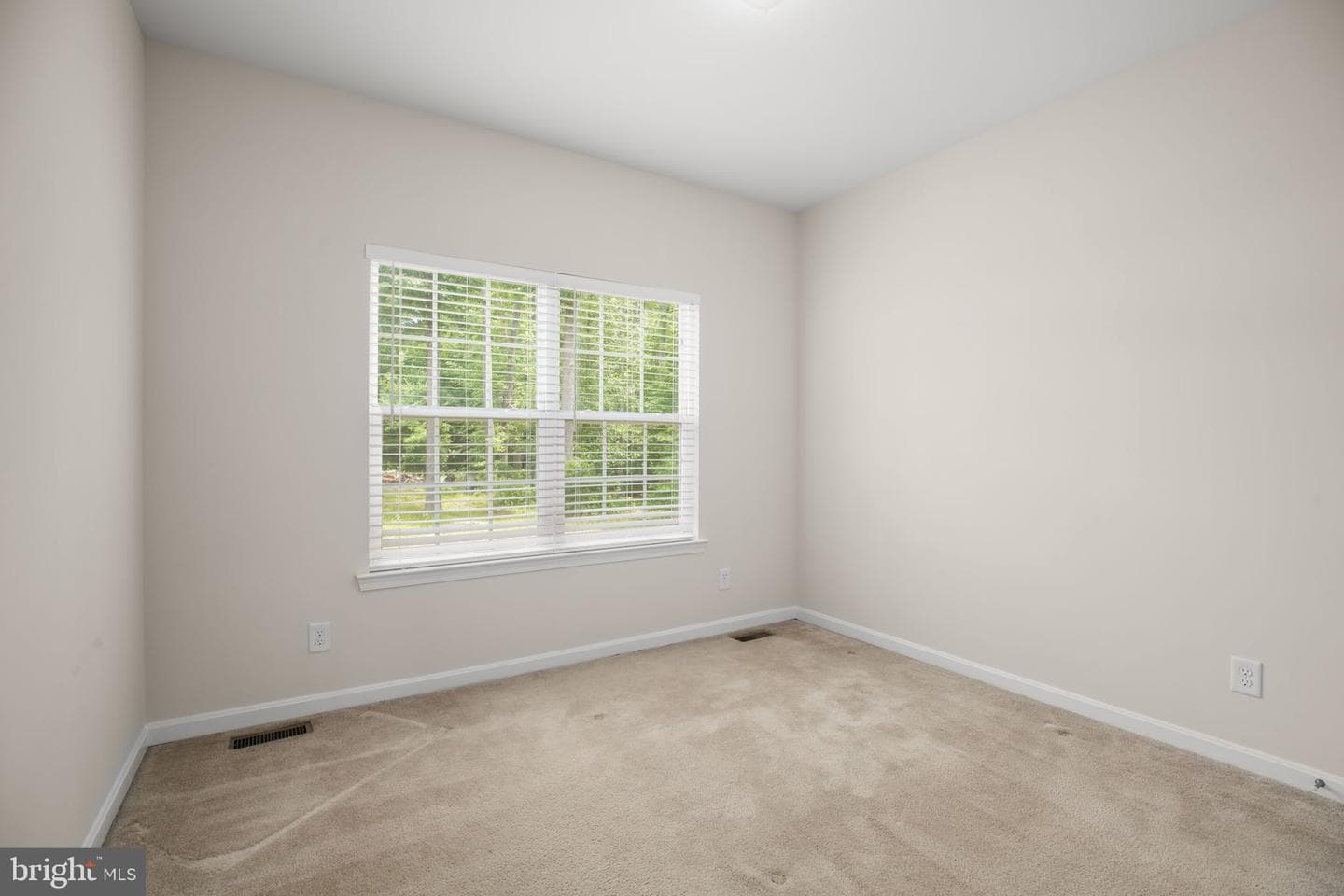 10509 Woodland Drive photo 30