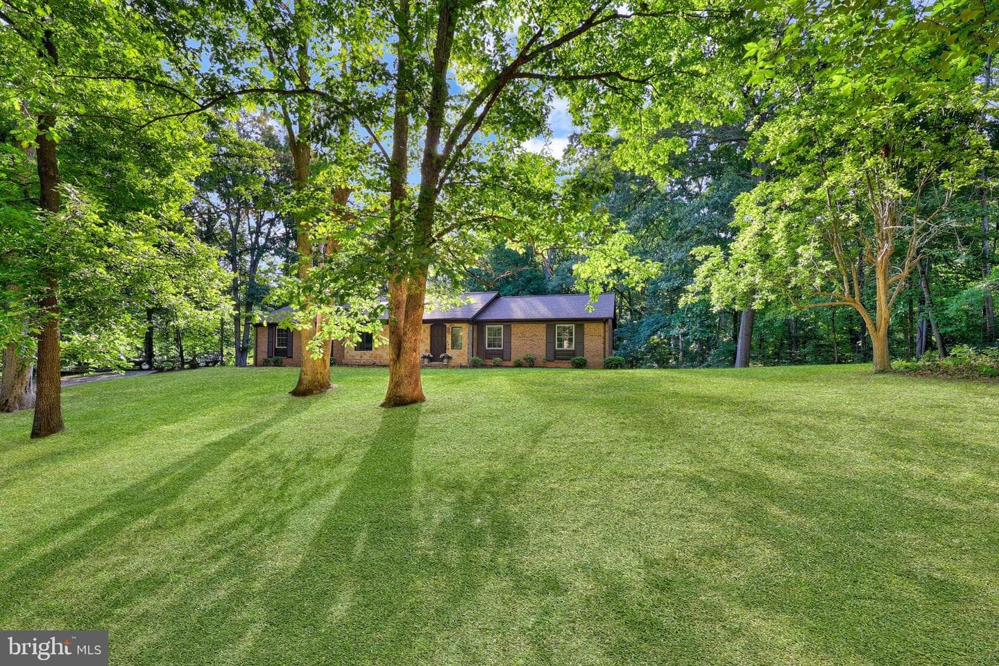 10205 Helena Terrace photo 3