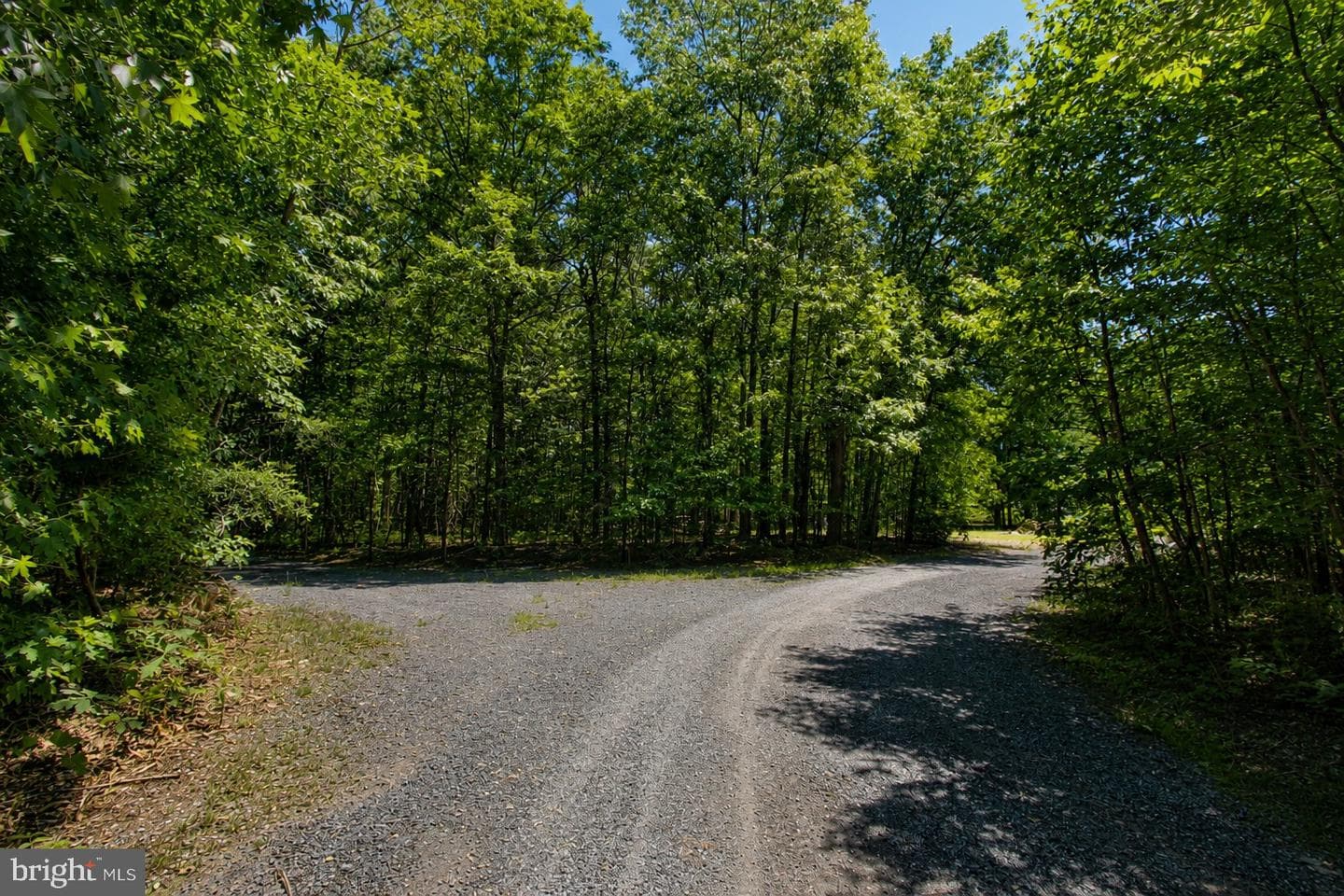 4313 Hadamar Road photo 6
