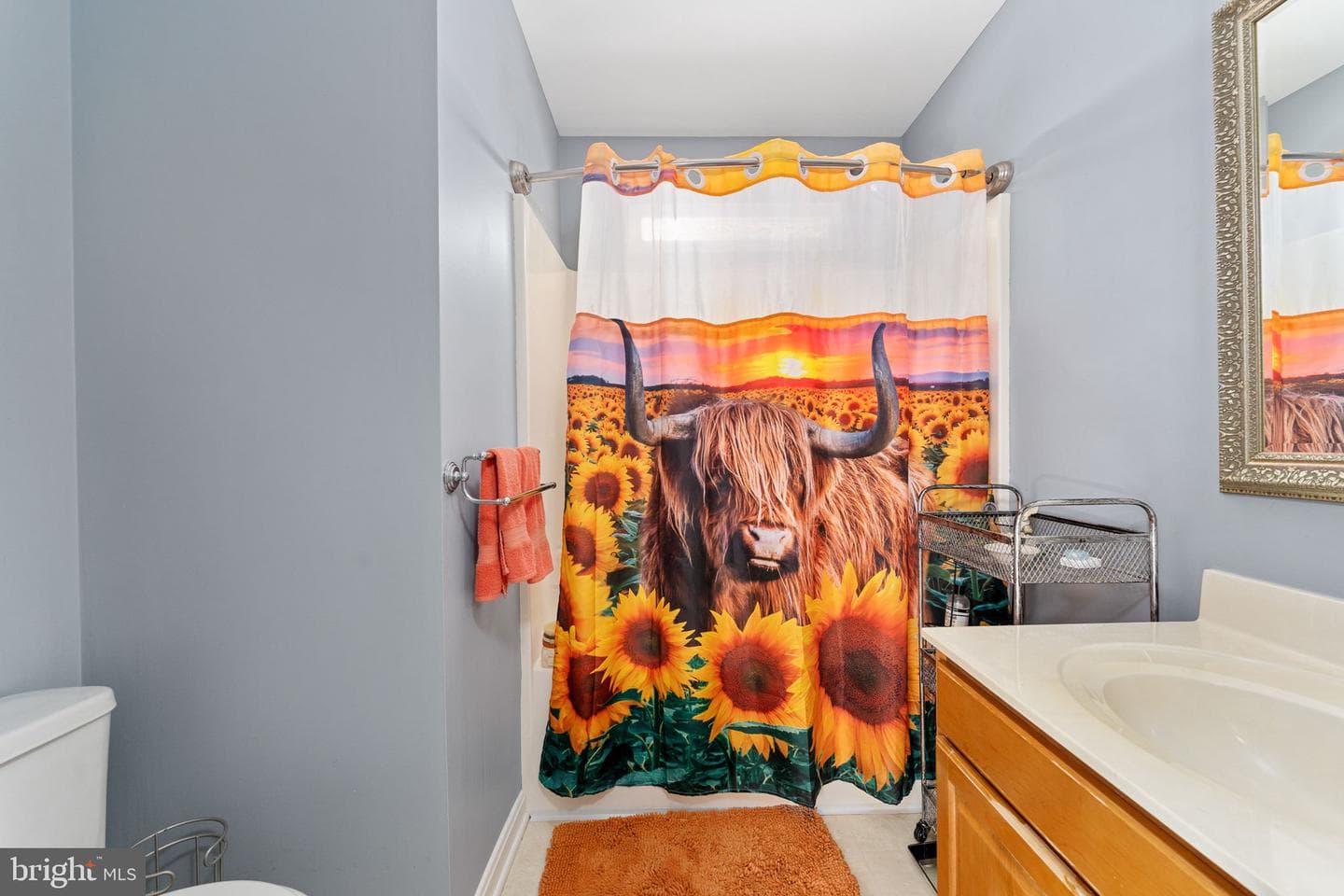 11704 Bleasdell Drive photo 14