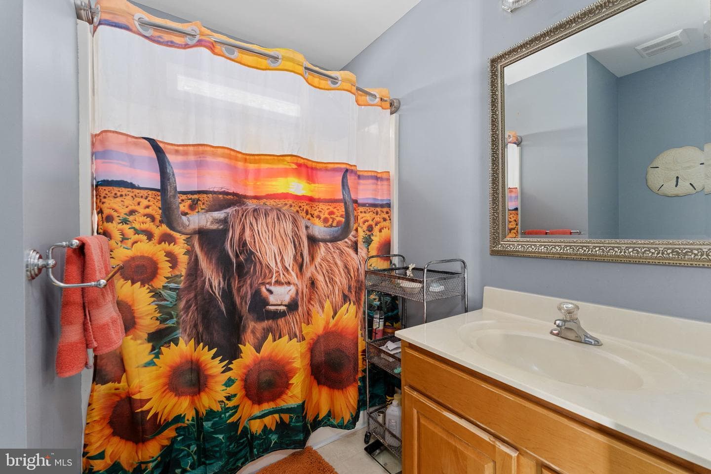 11704 Bleasdell Drive photo 15