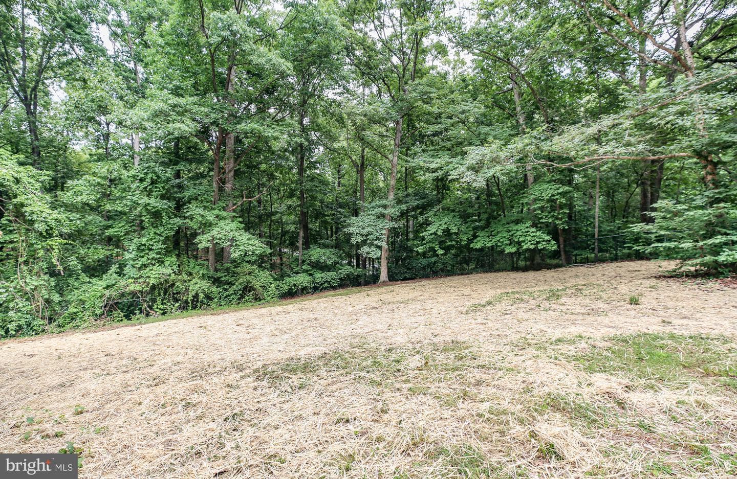 211 Hardwood Lane photo 44