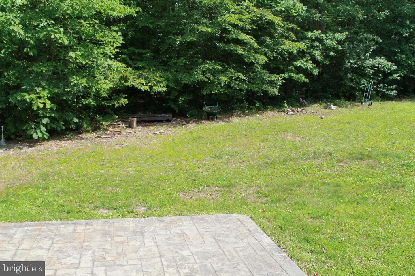 8531 Livingston Court photo 53