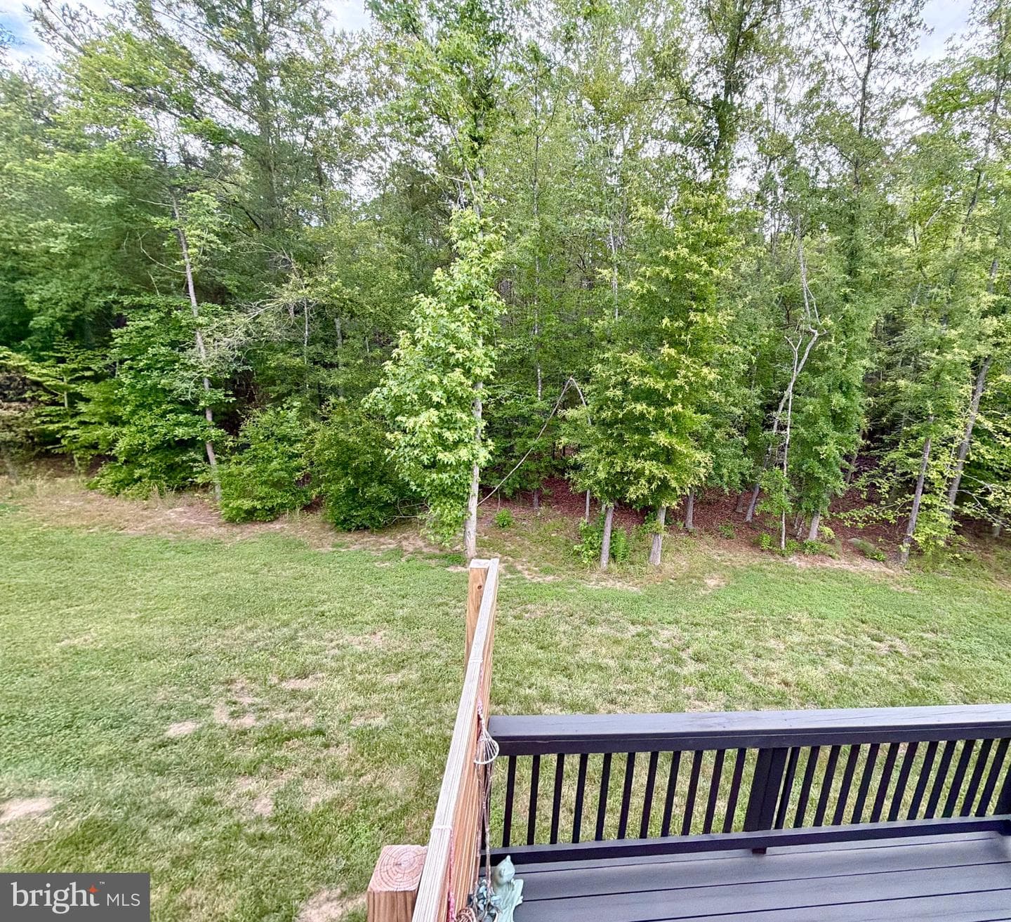 9807 Robert E Lee Drive photo 33