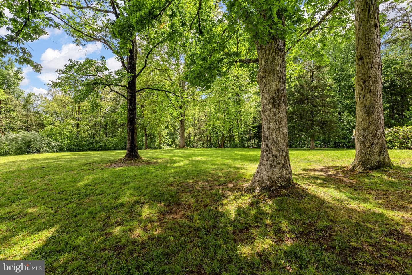 7501 Hunters Lodge Drive photo 22