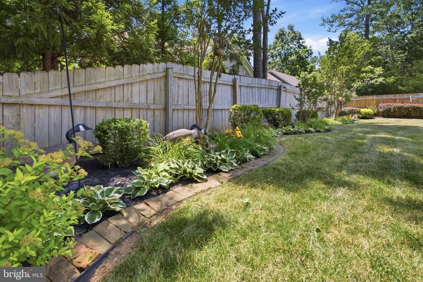 11709 Cedar Creek Court photo 12