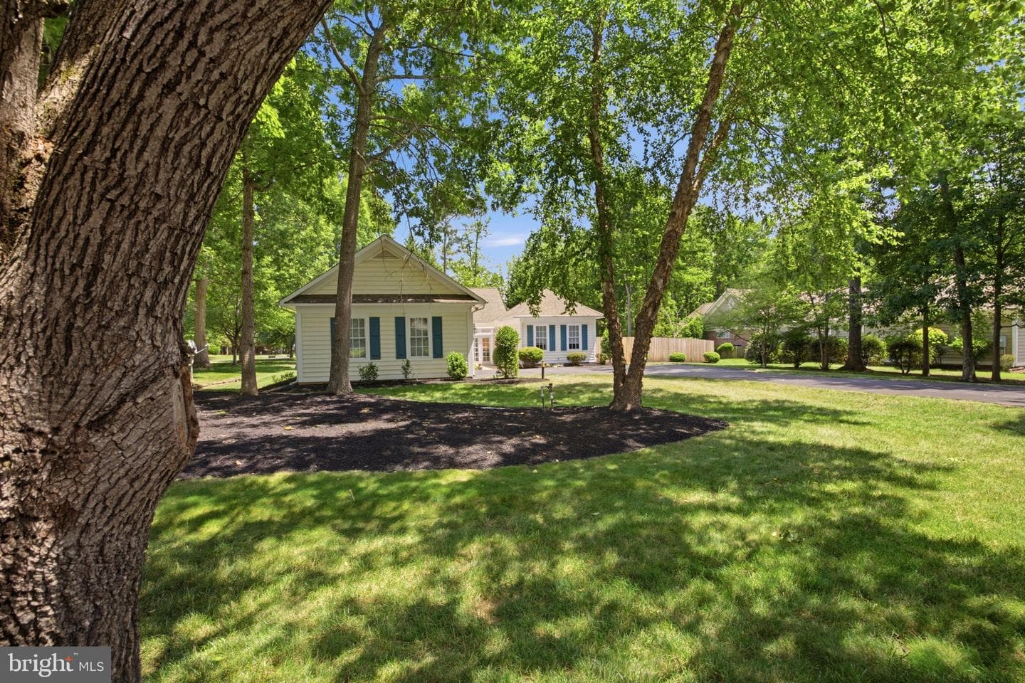 11709 Cedar Creek Court photo 20