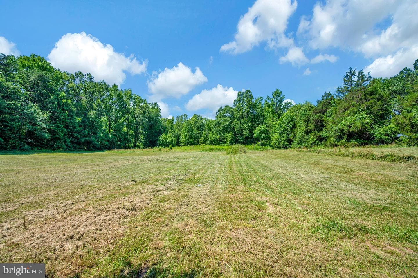 13832 Post Oak Road photo 59