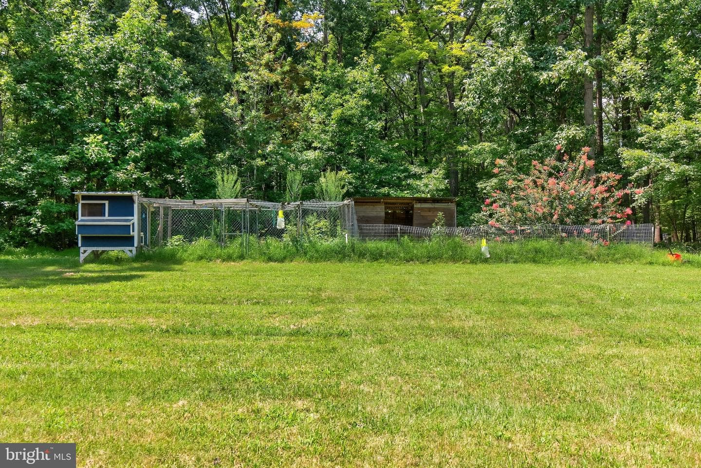 124 Fawn Hills Drive photo 66