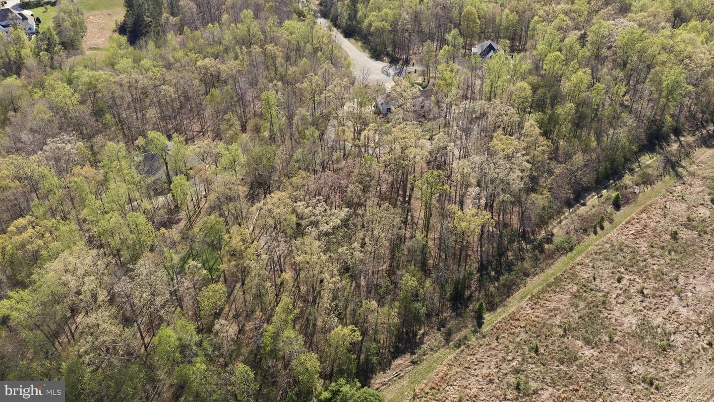 9504 Trentham Trail photo 87